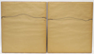 Two Magnificent Prints by Dr. Robert Thornton " The Superb Lily "