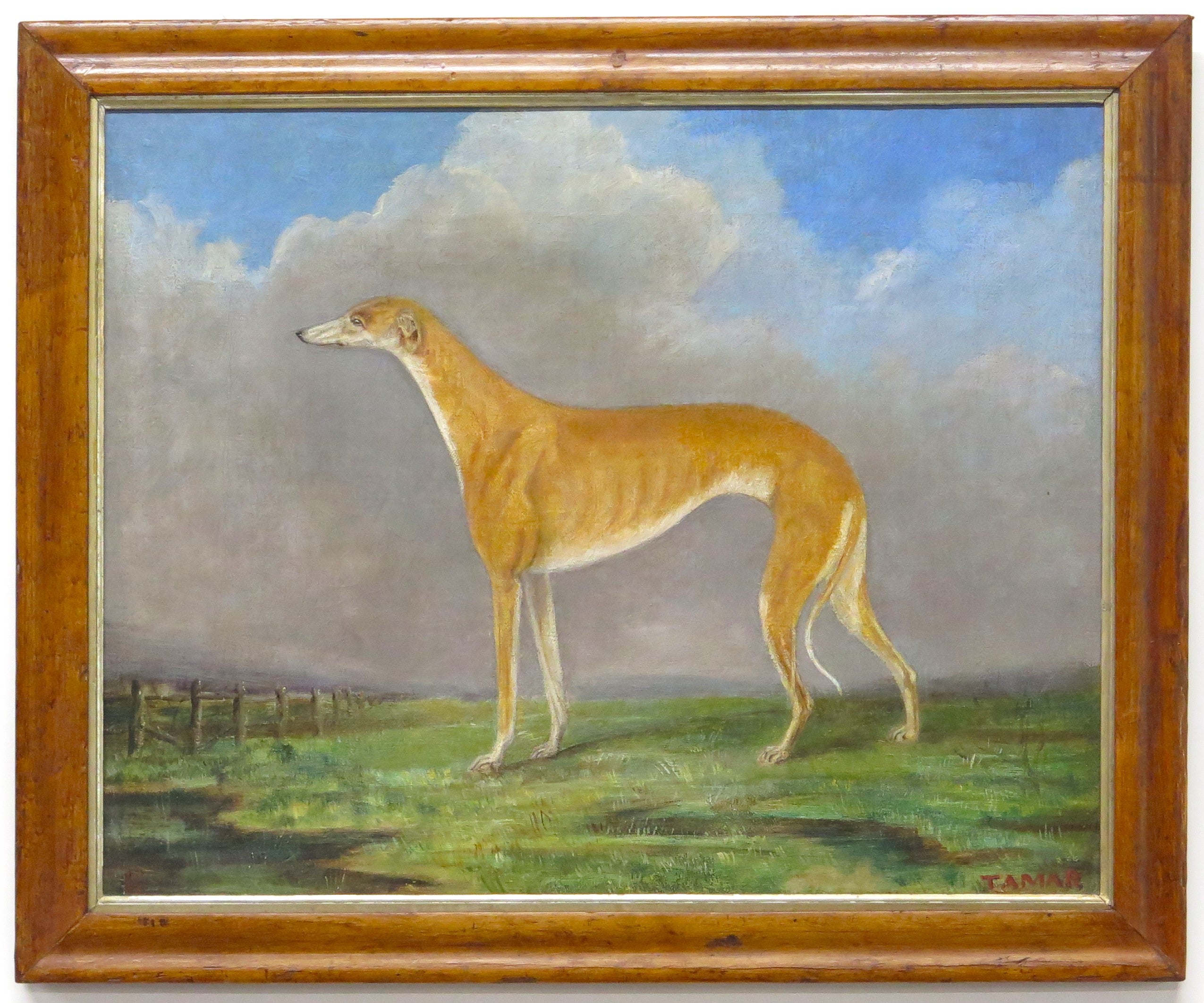 English School ( 19th Century ), Portrait of a Greyhound