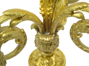 A Pair of Louis the XVI Candelabra