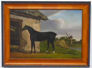 A Nicely Painted English School Oil on Canvas of a Black Horse in a Landscape