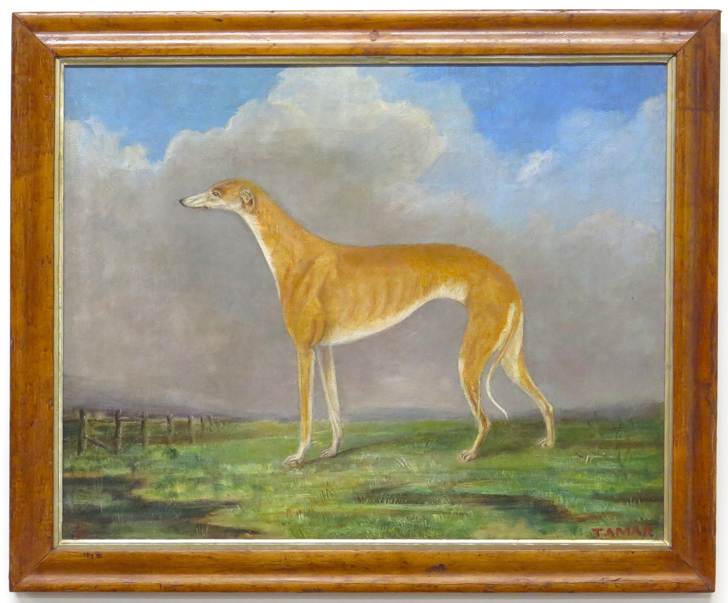 English School ( 19th Century ), Portrait of a Greyhound