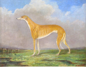 English School ( 19th Century ), Portrait of a Greyhound