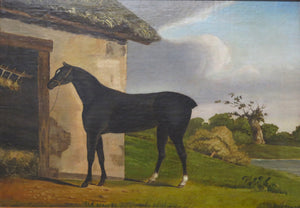 A Nicely Painted English School Oil on Canvas of a Black Horse in a Landscape