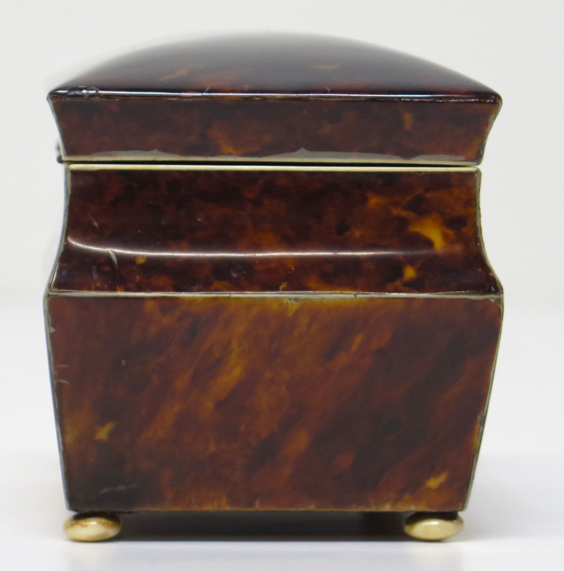 English Regency / George IV Tortoise Shell Tea Caddy – Nick Brock Antiques