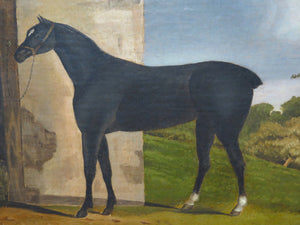 A Nicely Painted English School Oil on Canvas of a Black Horse in a Landscape
