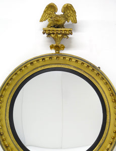 A Large English Regency Gilt Wood Convex Mirror