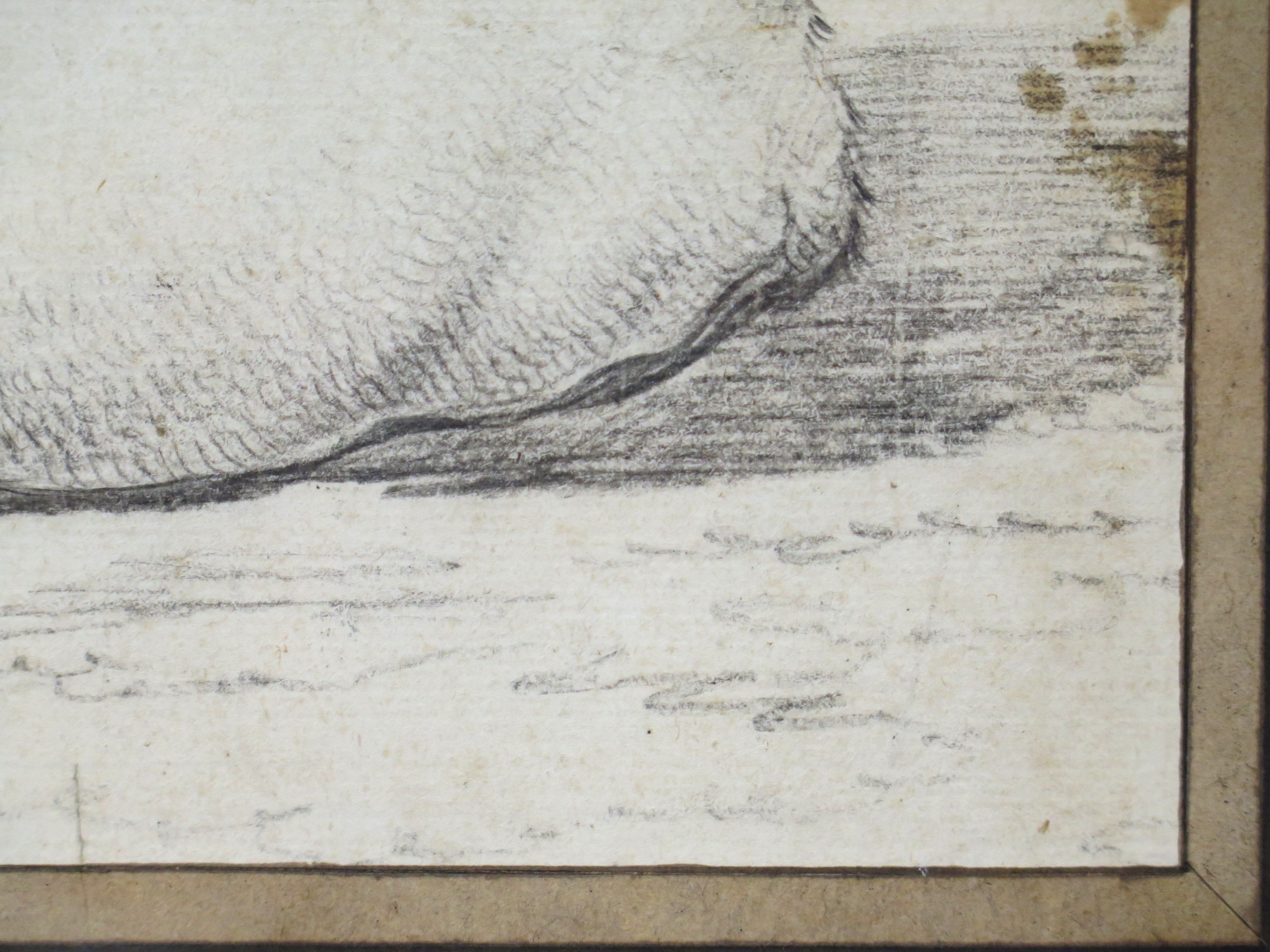 A Well Executed Sketch of a Resting Cow