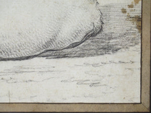 A Well Executed Sketch of a Resting Cow