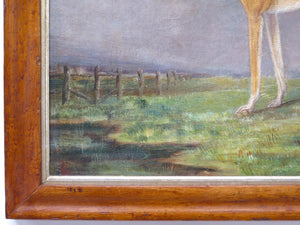 English School ( 19th Century ), Portrait of a Greyhound