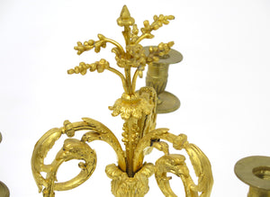 A Pair of Louis the XVI Candelabra