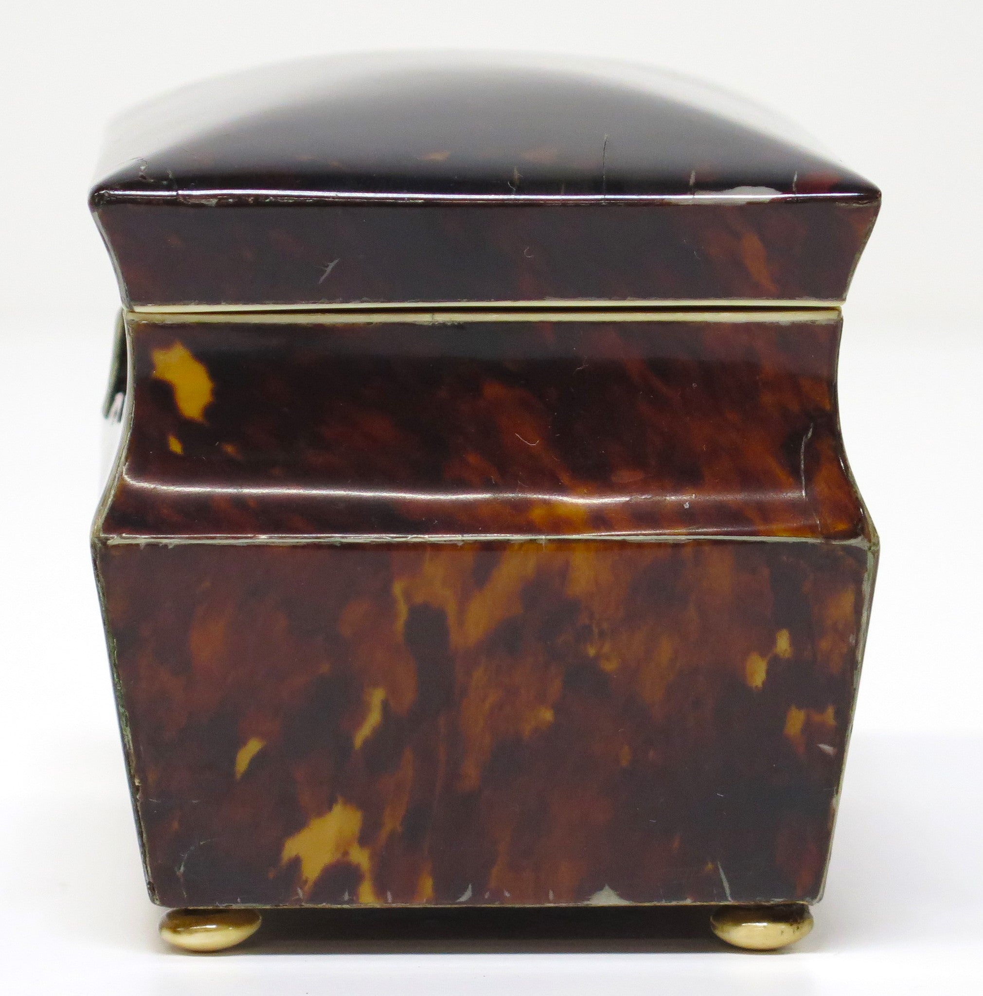English Regency / George IV Tortoise Shell Tea Caddy – Nick Brock Antiques