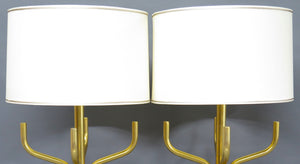 A Pair of Fine French Gilt Bronze Lamps