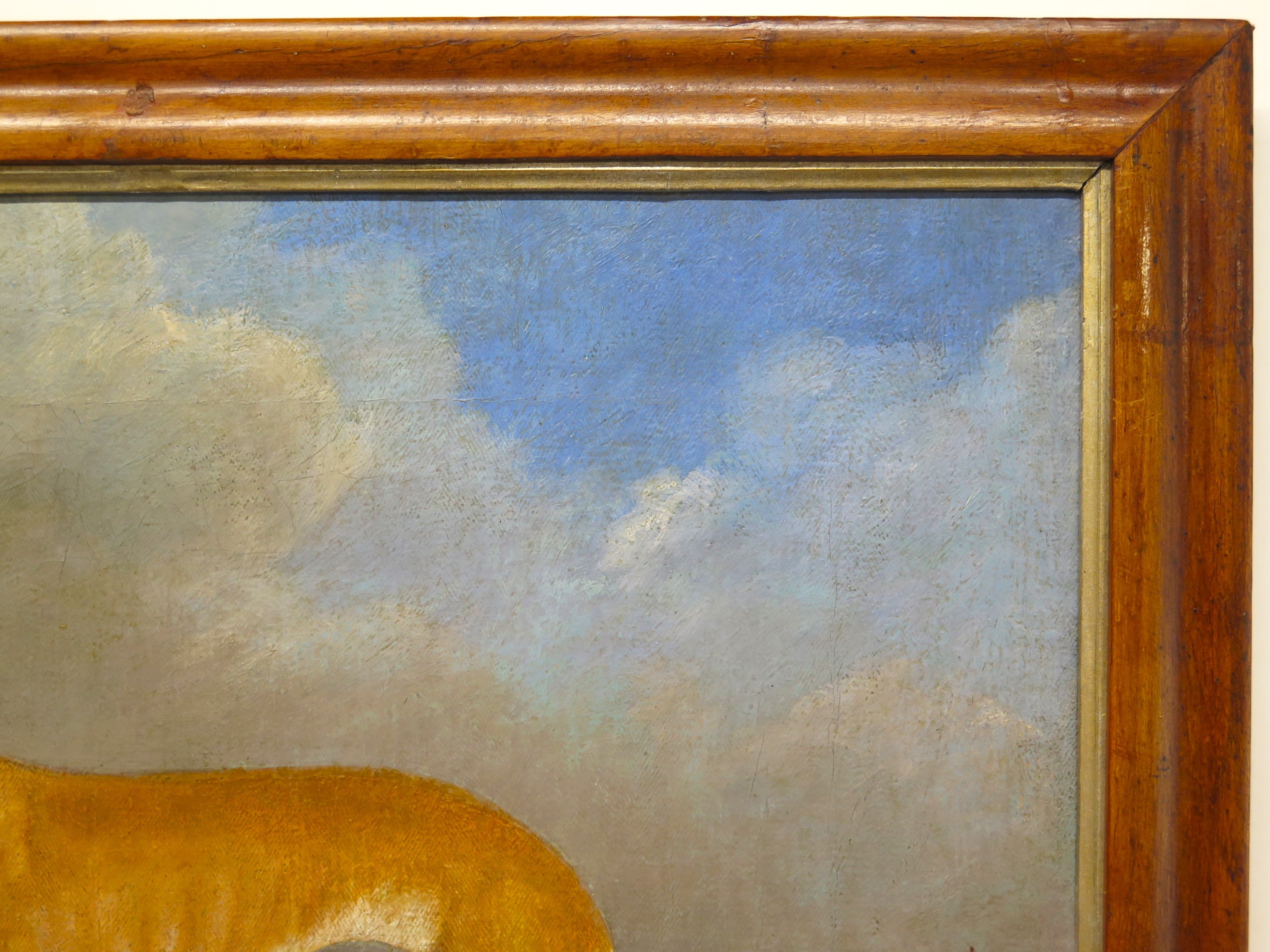 English School ( 19th Century ), Portrait of a Greyhound