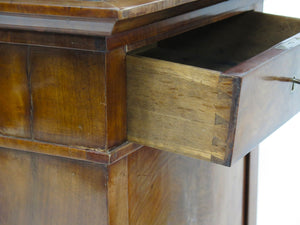 Tall Cabinet / Pedestal / Plinth of Mahogany