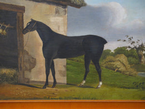 A Nicely Painted English School Oil on Canvas of a Black Horse in a Landscape