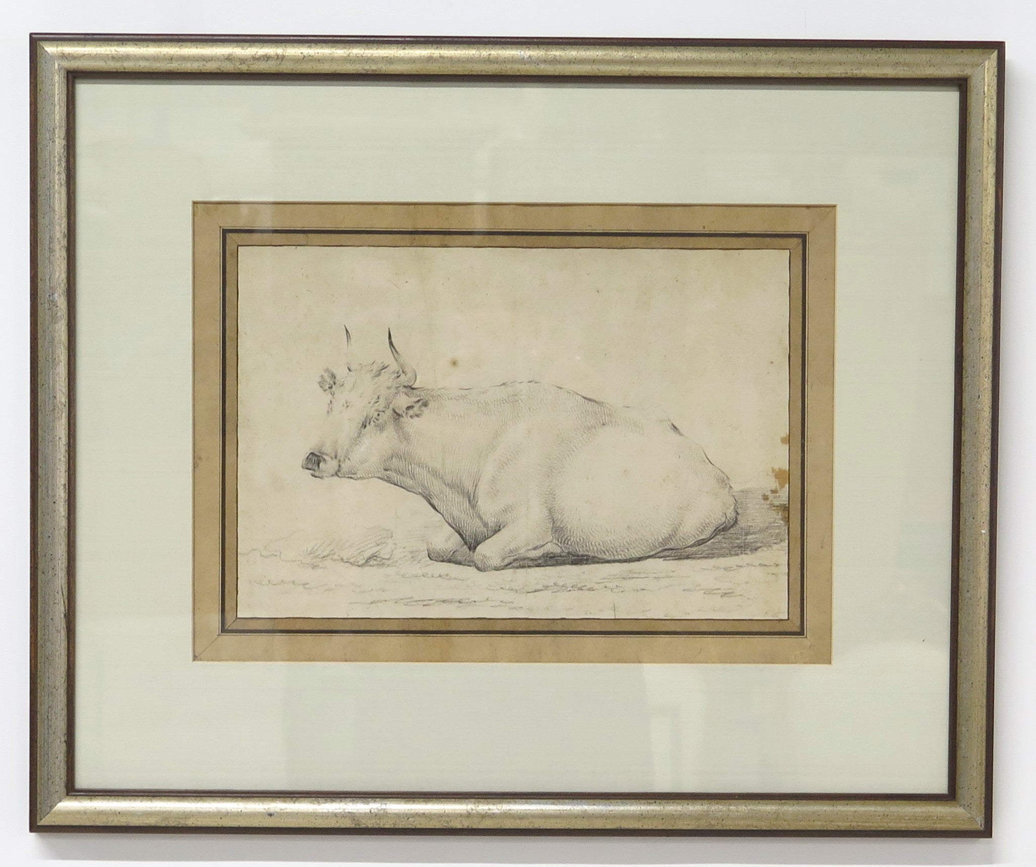 A Well Executed Sketch of a Resting Cow