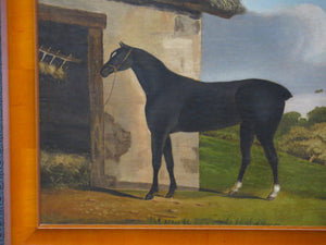 A Nicely Painted English School Oil on Canvas of a Black Horse in a Landscape