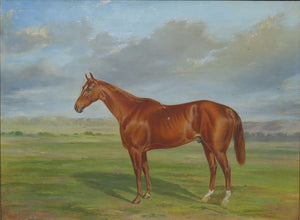 Sporting Picture / Horse Portrait by American Painter Thomas J. Scott (1824-1888)
