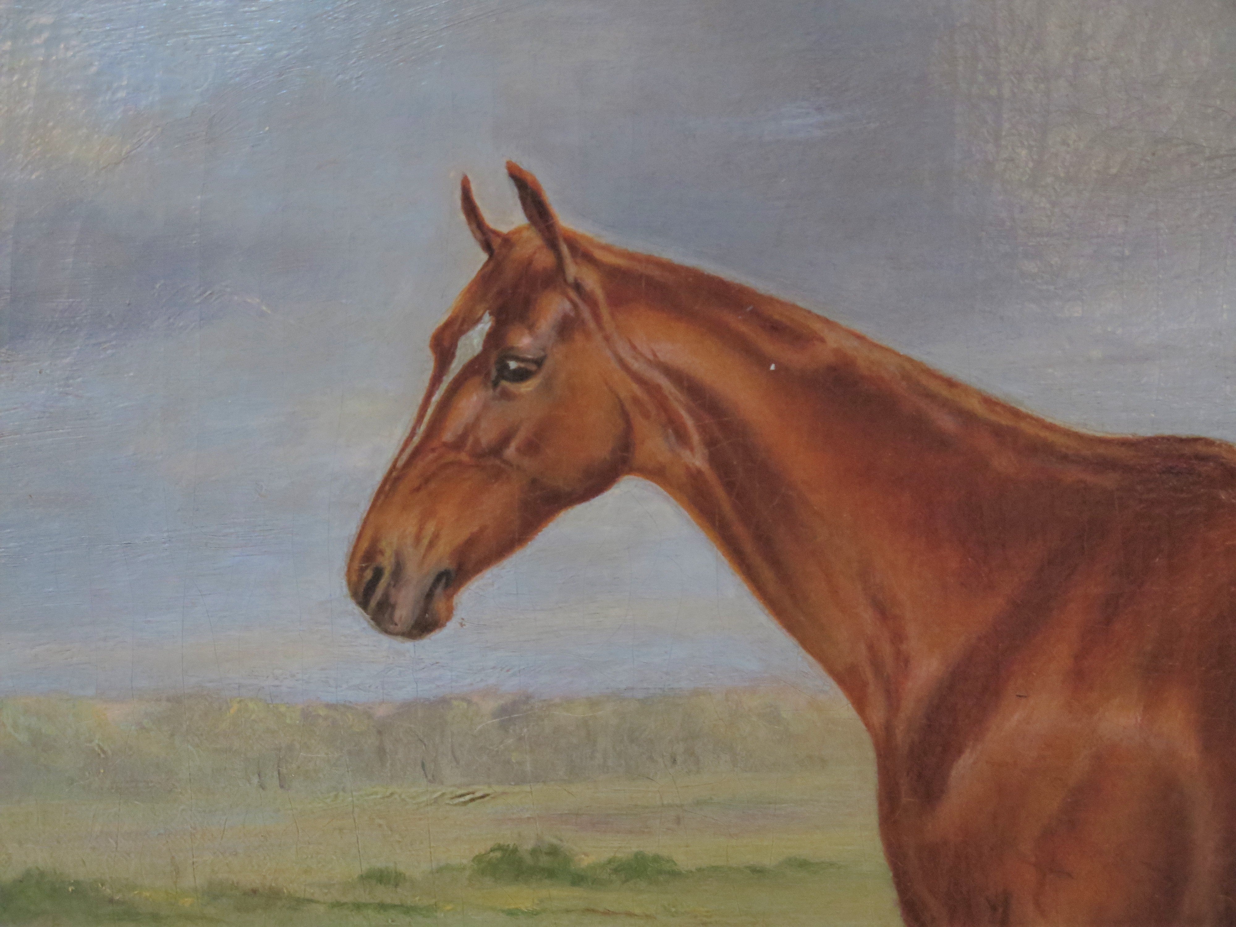 Sporting Picture / Horse Portrait by American Painter Thomas J. Scott (1824-1888)