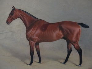 English Sporting Picture Chestnut Horse With Dark Legs, Signed, 1887 BASIL JAMES NIGHTINGALE ( 1864-1940 )