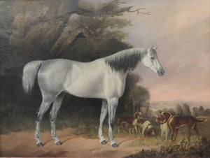 English Sporting Picture of White and Grey Horse with Hounds