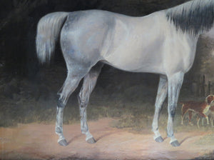 English Sporting Picture of White and Grey Horse with Hounds