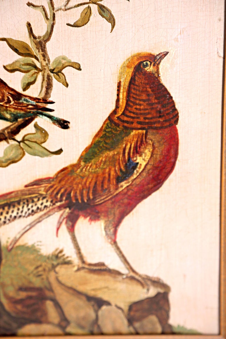 Pair of 19th Century Continental Paintings of Birds on Board