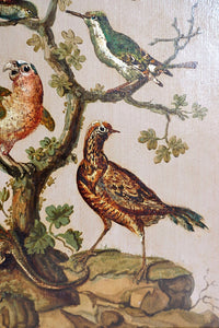 Pair of 19th Century Continental Paintings of Birds on Board